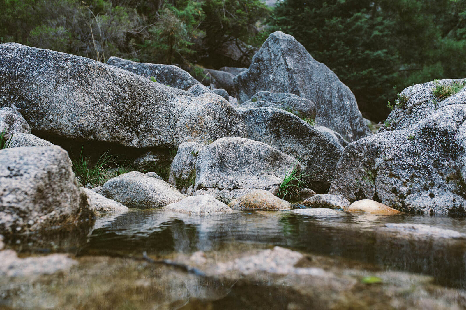 bergquelle mit frischem trinkwasser